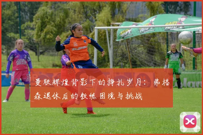曼联辉煌背影下的挣扎岁月：弗格森退休后的教练困境与挑战
