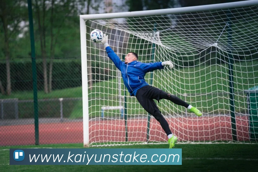 开云体育APP 封面图