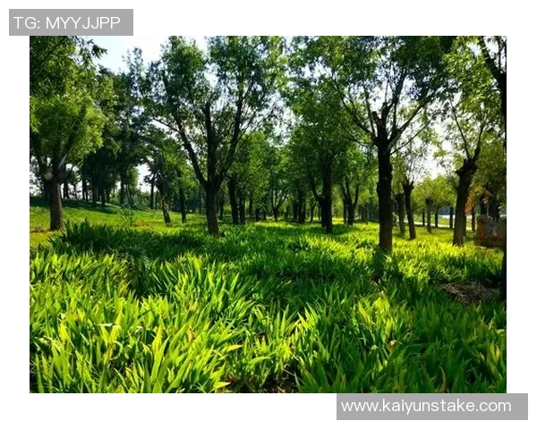 泰尔齐奇对加图索充满信心期待他打造强队的未来 泰尔齐奇对加图索充满信心期待他打造强队的未来